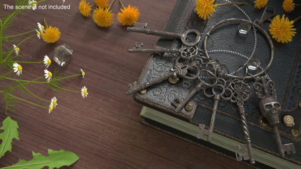 Skeleton Keys Bunch Steel