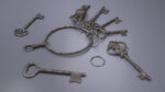 Skeleton Keys Bunch Steel