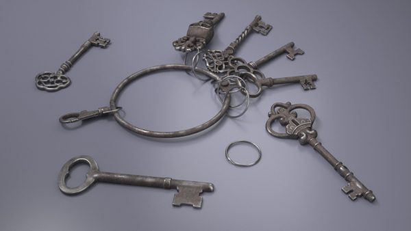 Skeleton Keys Bunch Steel