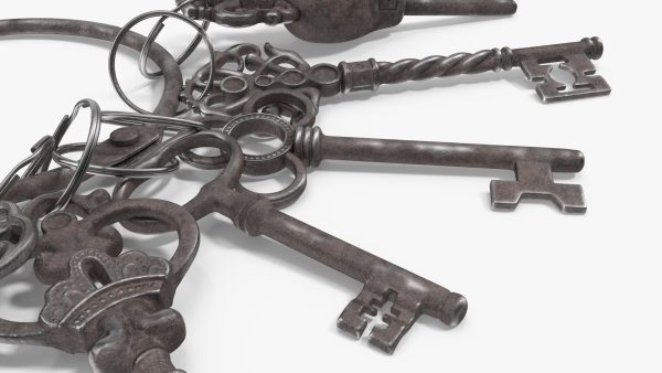 Skeleton Keys Bunch Steel