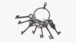 Skeleton Keys Bunch Steel