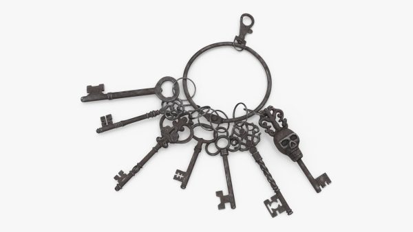 Skeleton Keys Bunch Steel