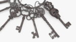 Skeleton Keys Bunch Steel