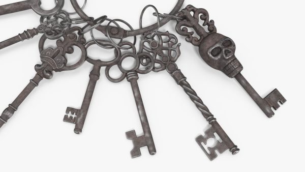 Skeleton Keys Bunch Steel