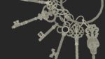 Skeleton Keys Bunch Steel