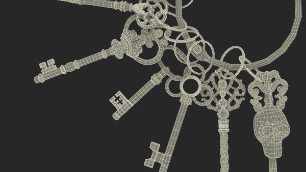 Skeleton Keys Bunch Steel