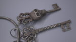 Skeleton Keys Bunch Steel