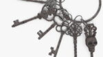Skeleton Keys Bunch Steel
