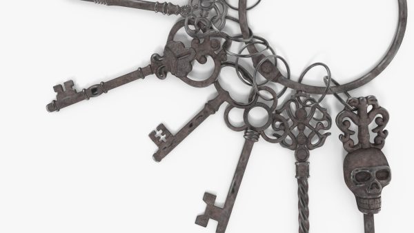 Skeleton Keys Bunch Steel