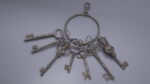 Skeleton Keys Bunch Steel