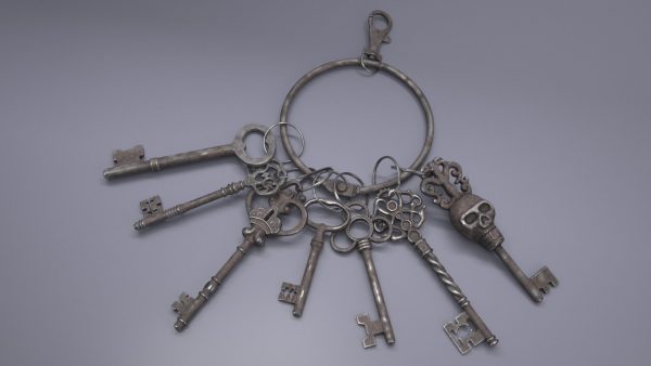 Skeleton Keys Bunch Steel