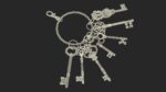 Skeleton Keys Bunch Steel