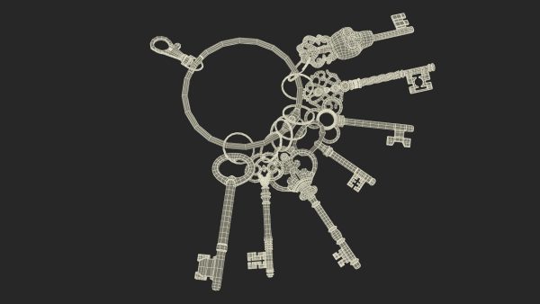 Skeleton Keys Bunch Steel
