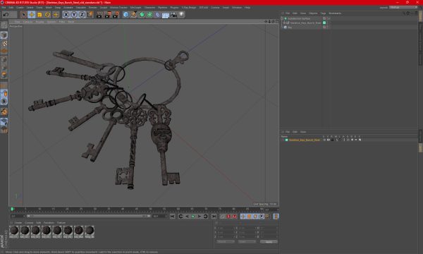 Skeleton Keys Bunch Steel