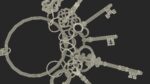 Skeleton Keys Bunch Steel