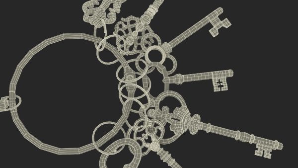Skeleton Keys Bunch Steel
