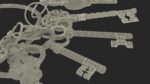 Skeleton Keys Bunch Steel