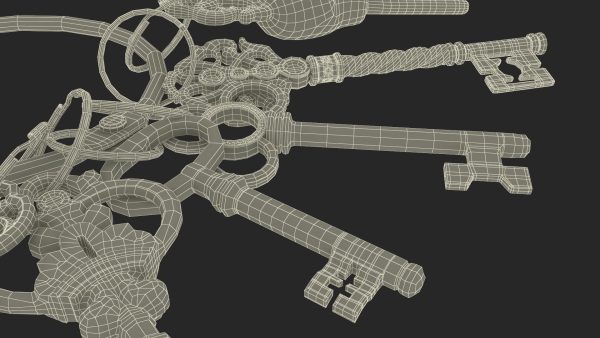 Skeleton Keys Bunch Steel