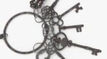 Skeleton Keys Bunch Steel
