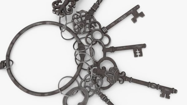 Skeleton Keys Bunch Steel