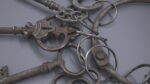 Skeleton Keys Bunch Steel