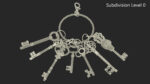 Skeleton Keys Bunch Steel