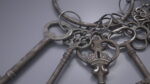 Skeleton Keys Bunch Steel