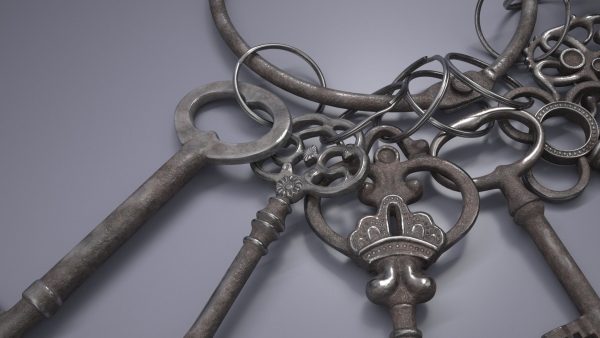 Skeleton Keys Bunch Steel
