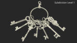 Skeleton Keys Bunch Steel