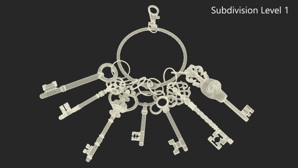 Skeleton Keys Bunch Steel