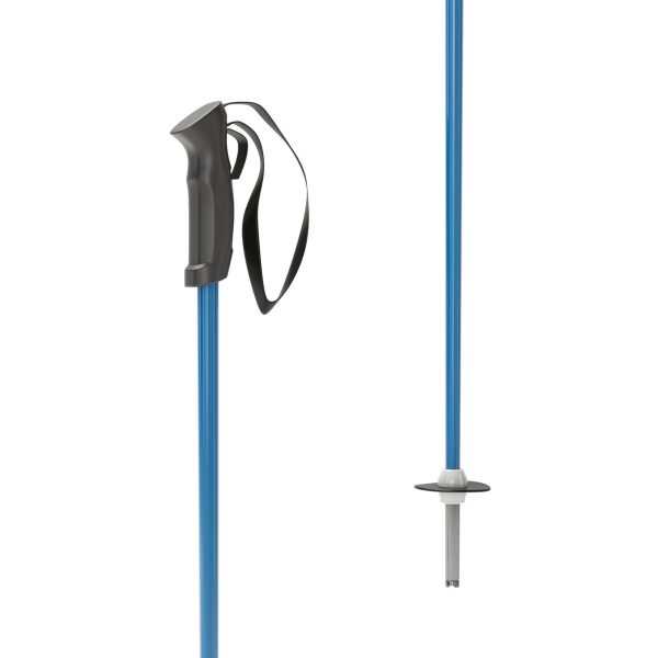 Ski board