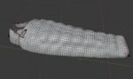 Sleeping bag