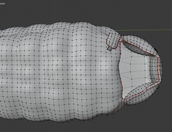 Sleeping bag