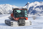 Snowy Snowcat Generic