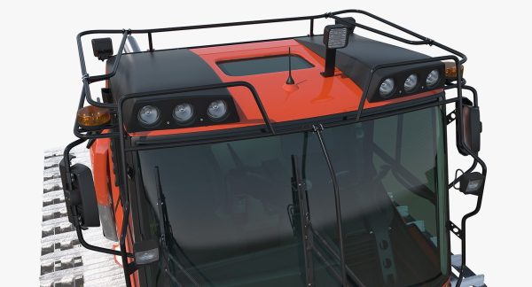 Snowy Snowcat Generic