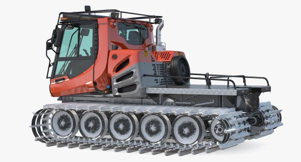 Snowy Snowcat Generic