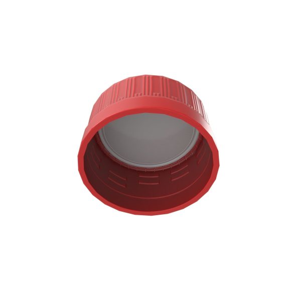 Soda Bottle Empty Low Poly