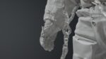 SPACESUIT Moon APOLLO 11