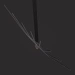 Spading Fork