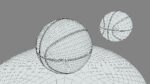 Spalding Basketball