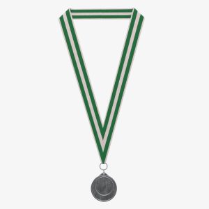 Sports medal trophy mockup 01