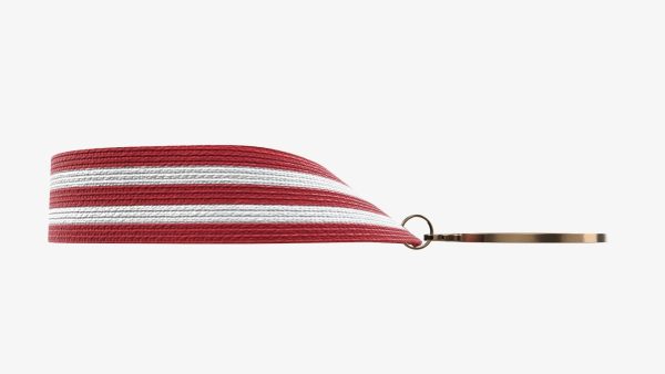 Sports medal trophy mockup 08
