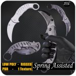 Spring Assisted Knife