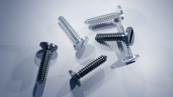 Stainless Steel Screw