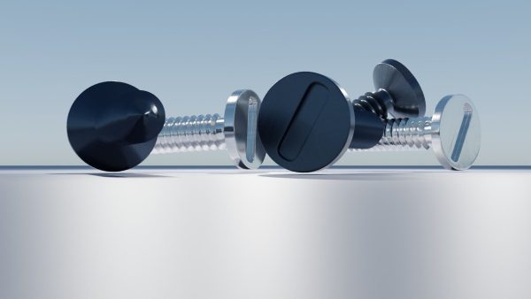 Stainless Steel Screw