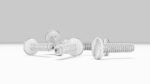 Stainless Steel Screw