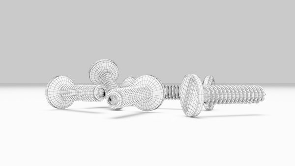 Stainless Steel Screw
