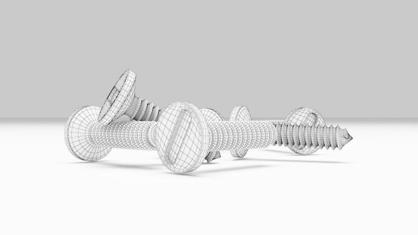 Stainless Steel Screw