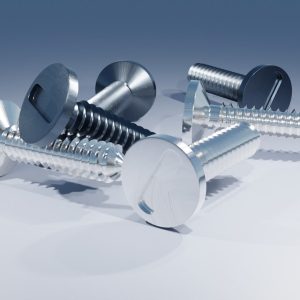 Stainless Steel Screw