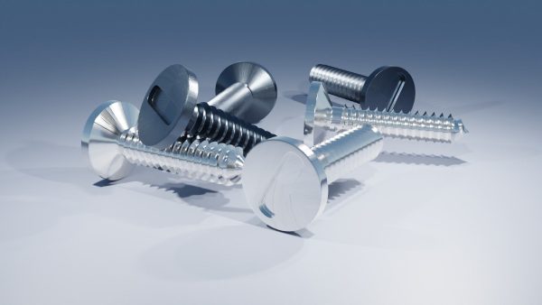 Stainless Steel Screw